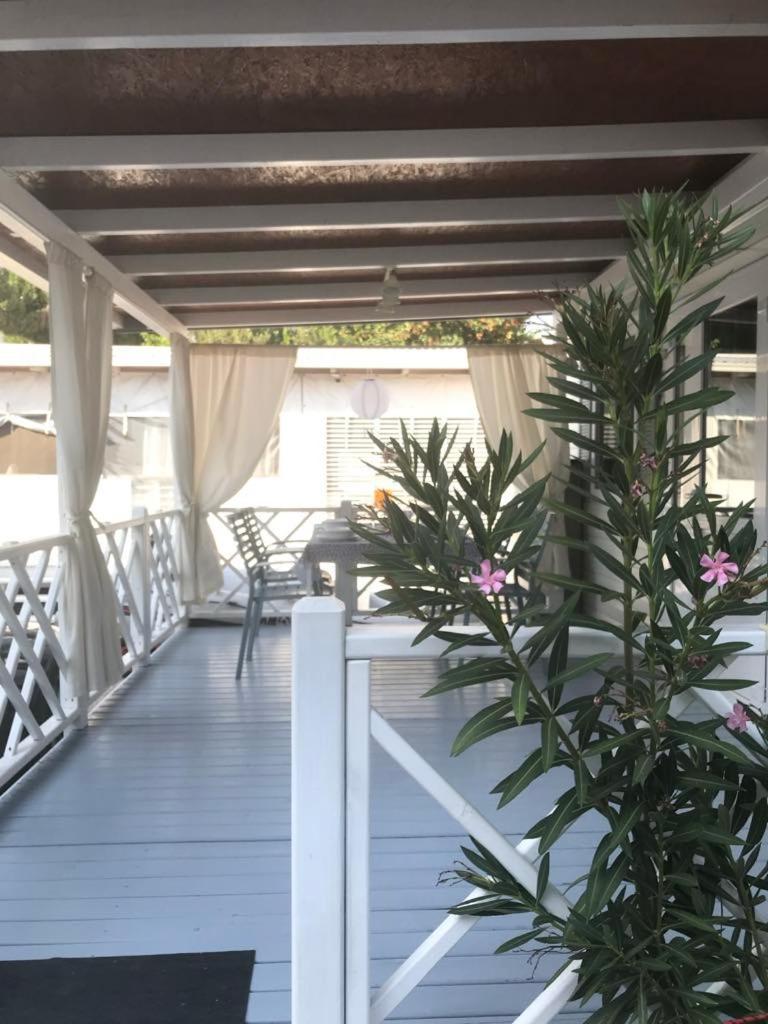 Apartman As بيروفاتش المظهر الخارجي الصورة
